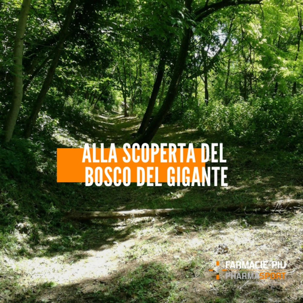Alla scoperta del Bosco del Gigante