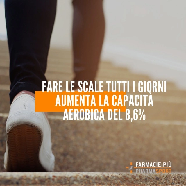 Fare le scale tutti i giorni aumenta la capacità aerobica dell'8,6%